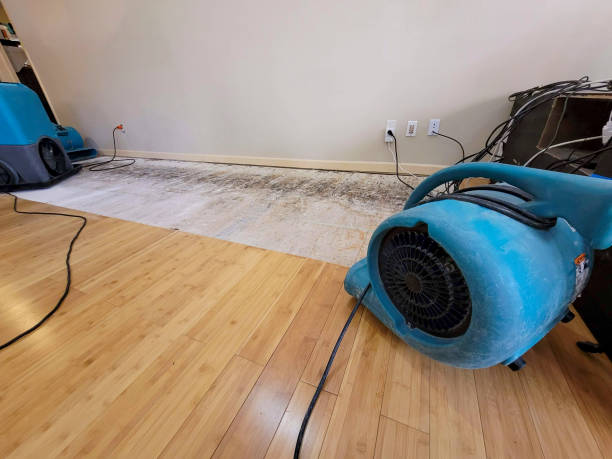 Professional Water Damage Repair technician working in Potomac, MD